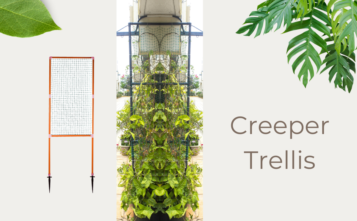 Creeper Trellis