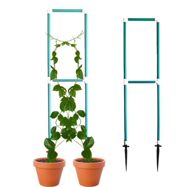 Garden Trellis