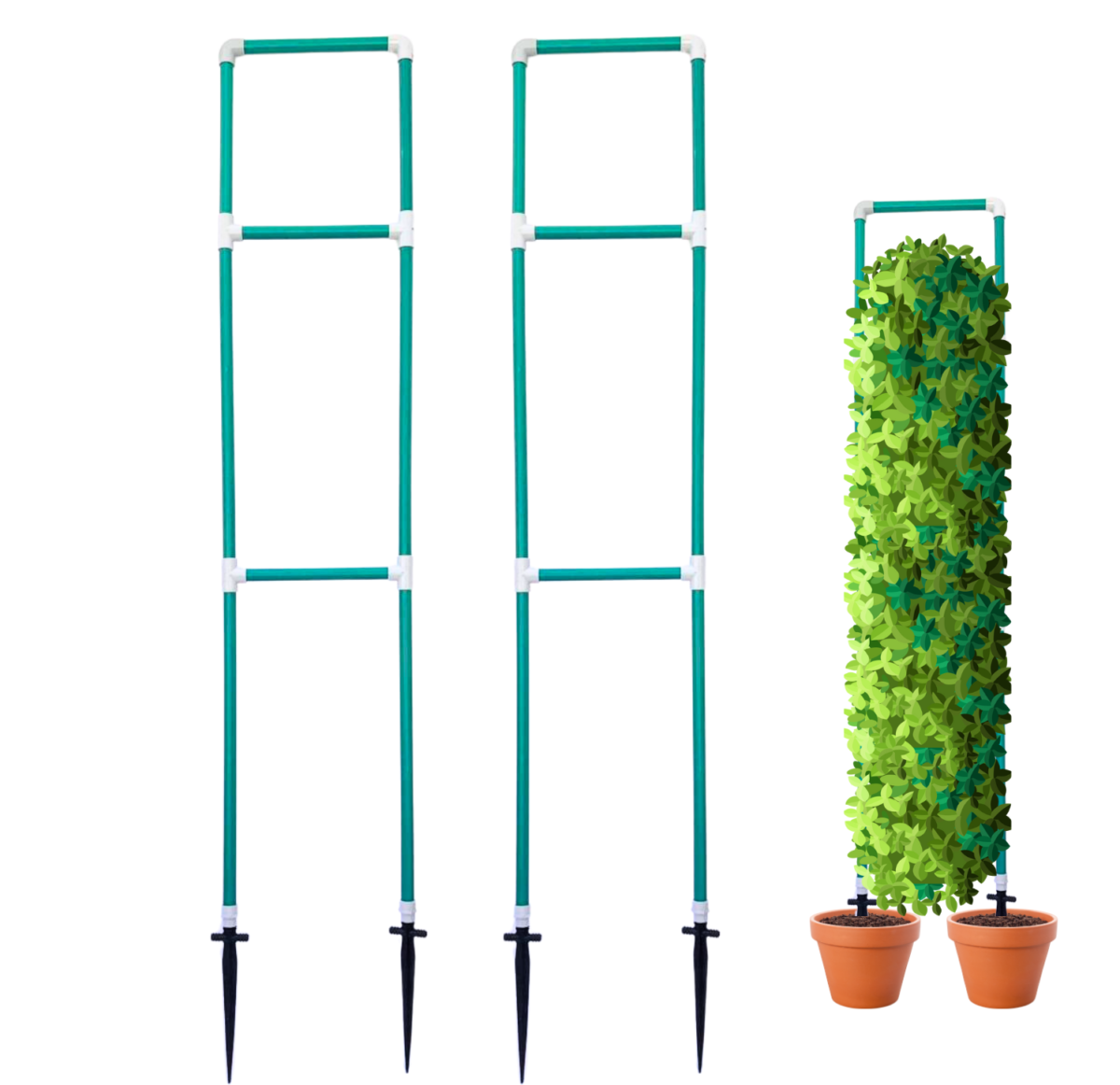 plant trellis