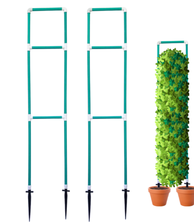 plant trellis