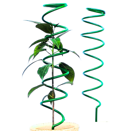 Spiral Trellis